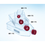Greiner Bio-One CELLSTAR® Filter Cap Cell Culture Flasks